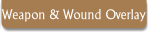Weapon & Wound Overlay.