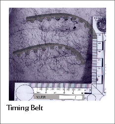 Timing Belt

